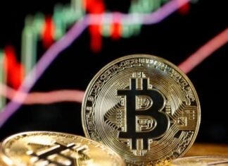 El bitcoin alcanza su mayor precio de la historia al superar los US$69.000: quiénes tienen los 19 millones de criptomonedas