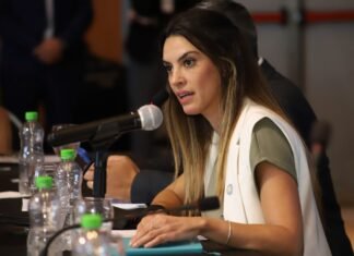 Scioli y Yanina Martínez encabezaron la primera reunión del año del CFT