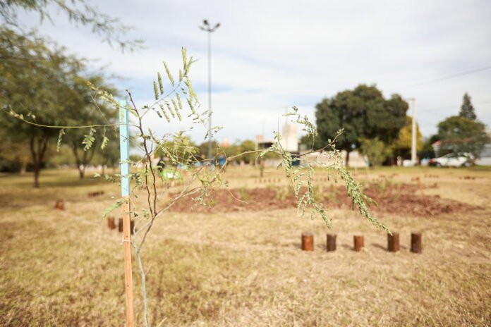 Un nuevo pulmón verde para la zona suroeste de la ciudad