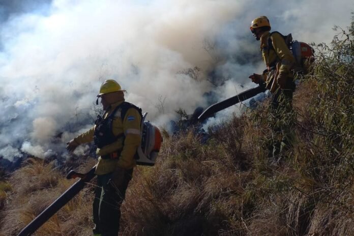 El riesgo de incendios para este domingo será extremo