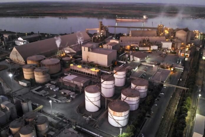 Un grupo inversor argentino compra la millonaria deuda de Vicentin, en el marco concurso