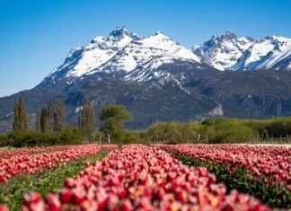 Esquel y Córdoba estarán conectadas con un vuelo directo en temporada de invierno