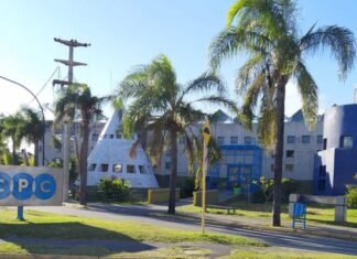 La noche los CPC, trámites y espectáculos bajo las estrellas