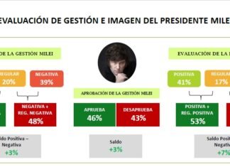 ¿Milei con o sin el PRO? la encuesta que revela cómo cambiaría el escenario electoral si se alía con Macri