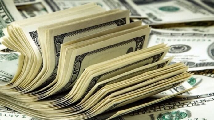 Por qué la salida del cepo no trajo estabilidad ni crecimiento, según Cavallo