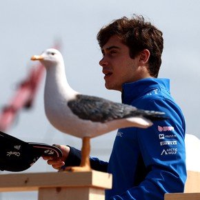 Tras su gran GP de Países Bajos, ¿cuándo y dónde vuelve a correr Franco Colapinto en la Fórmula 1?