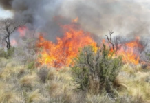 Córdoba: en día complicado, se mantiene activo el incendio en Guasapampa