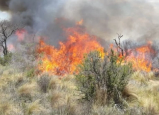 Córdoba: en día complicado, se mantiene activo el incendio en Guasapampa