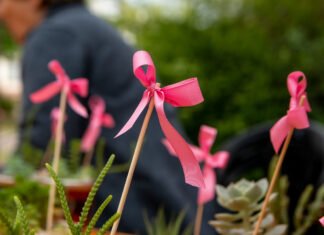 Córdoba Rosa: continúan las actividades de prevención y diagnostico precoz del Cáncer de Mama