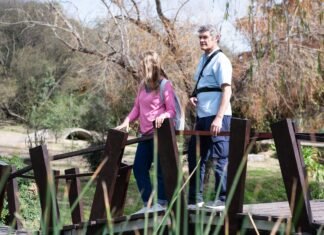 Día de los Jardines Botánicos: actividades para infancias, venta de plantas y música en vivo