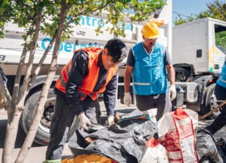 Operativo ambiental de prevención del Dengue: cronograma de la semana