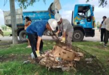 Operativo Ambiental de prevención del Dengue en Panamericano, Pueyrredón, General Paz, Urca y San Vicente