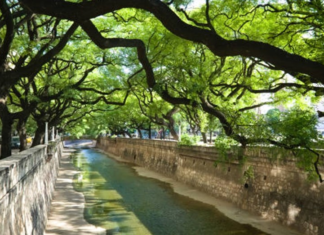 Soleado y agradable: Un día Ideal para disfrutar al aire libre en Córdoba