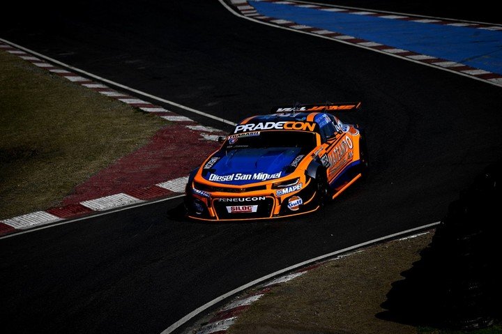 El Chivo naranja de Ledesma.