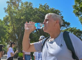 Alerta amarilla: con picos de 39 grados, pronostican temperaturas extremas y posible ola de calor entre el martes y el jueves