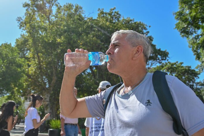 Alerta amarilla: con picos de 39 grados, pronostican temperaturas extremas y posible ola de calor entre el martes y el jueves