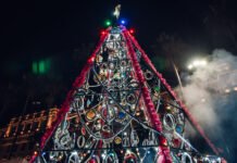 Desde el próximo lunes, el árbol de Navidad iluminará la Plaza San Martín
