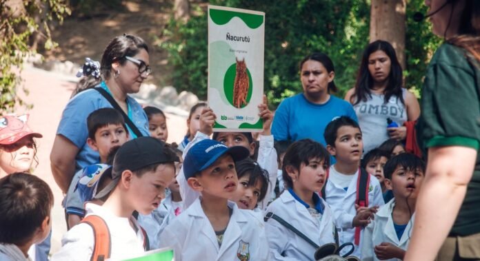 Más de 40 escuelas y jardines municipales participaron de los paseos socioeducativos de Línea E durante el primer cuatrimestre