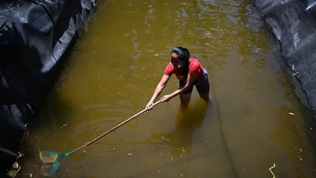 María del Carmen Portillo, con el agua hasta las rodillas, limpia con un rastrillo una reserva de agua. El agua está almacenada en un reservorio contenido con paredes de plástico.