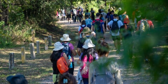 Sábado con recorrido gratuito por la Reserva Natural Urbana General San Martín para celebrar la Semana del Árbol