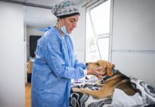 Desde mañana, vecinos podrán reservar turnos para castraciones de animales de compañía en el CPC Ruta 20