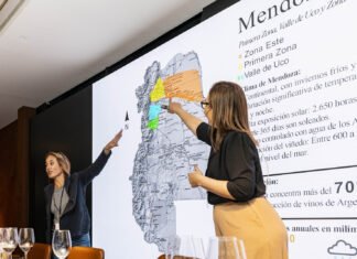 Llega a Buenos Aires el primer Salón de Vinos de España dedicado a profesionales