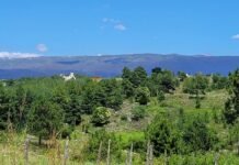 Villa Yacanto de Calamuchita en el podio de los destinos más hospitalarios de Argentina